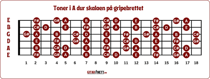 Oversikt over hvor på gripebrettet man finner tonene i A dur skalaen.