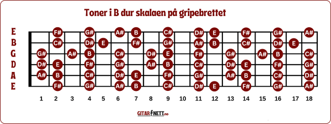Tonenes plassering på gripebrettet for å spille B dur skalaen på gitar.